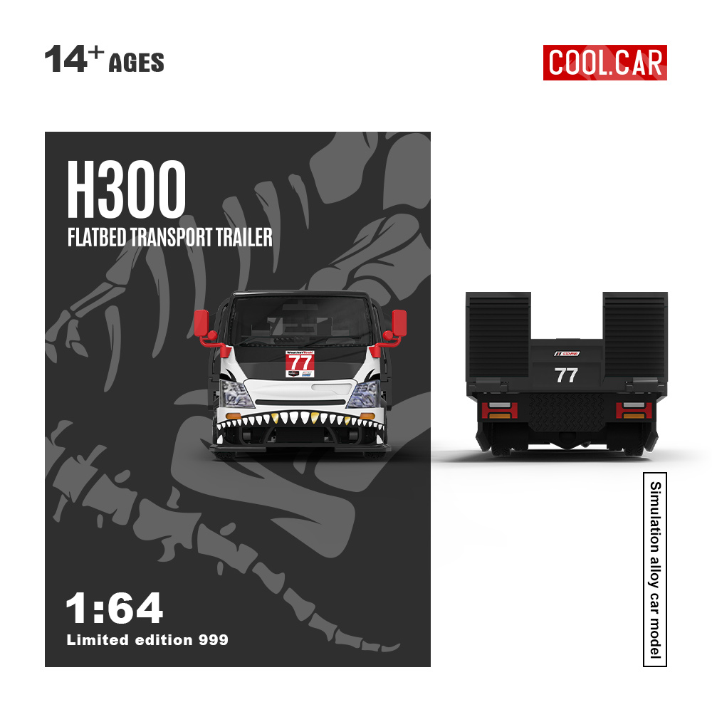 Cool Car 1:64 H300 Płaska Przy – Car Accessories Company recenzja i cena