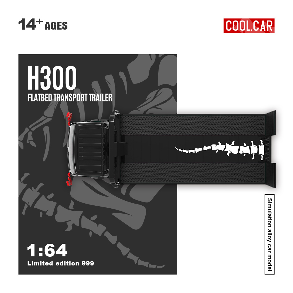 Cool Car 1:64 H300 Płaska Przy – Car Accessories Company recenzja i cena